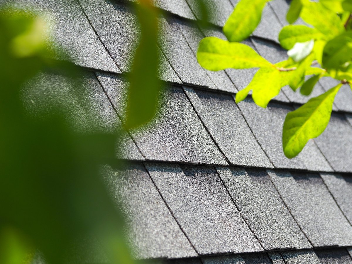 Aging asphalt shingle roof showing granules and wear on a Florida home